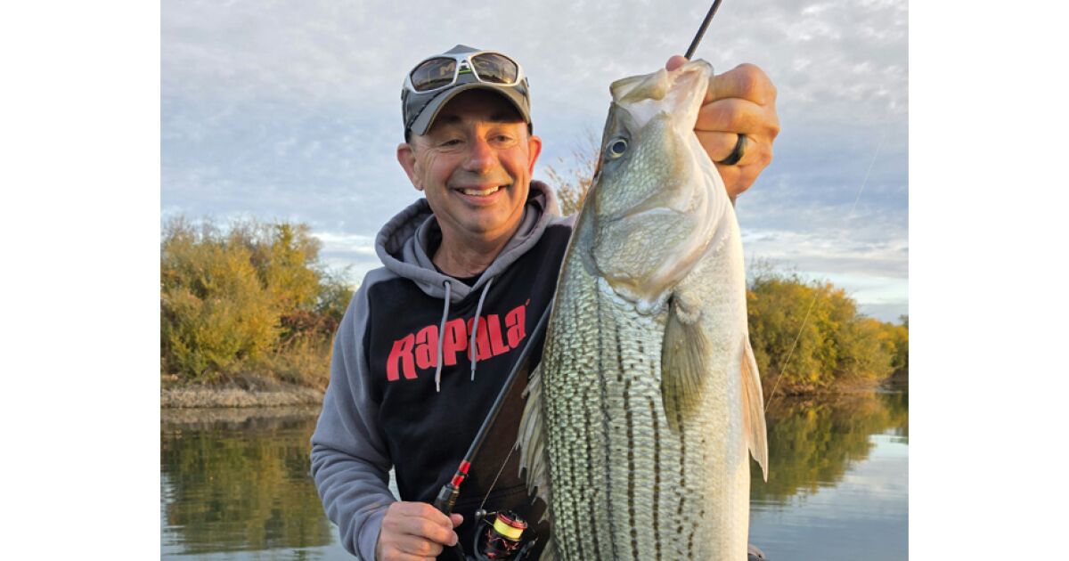 State Offers Bleak Forecast for Striped Bass