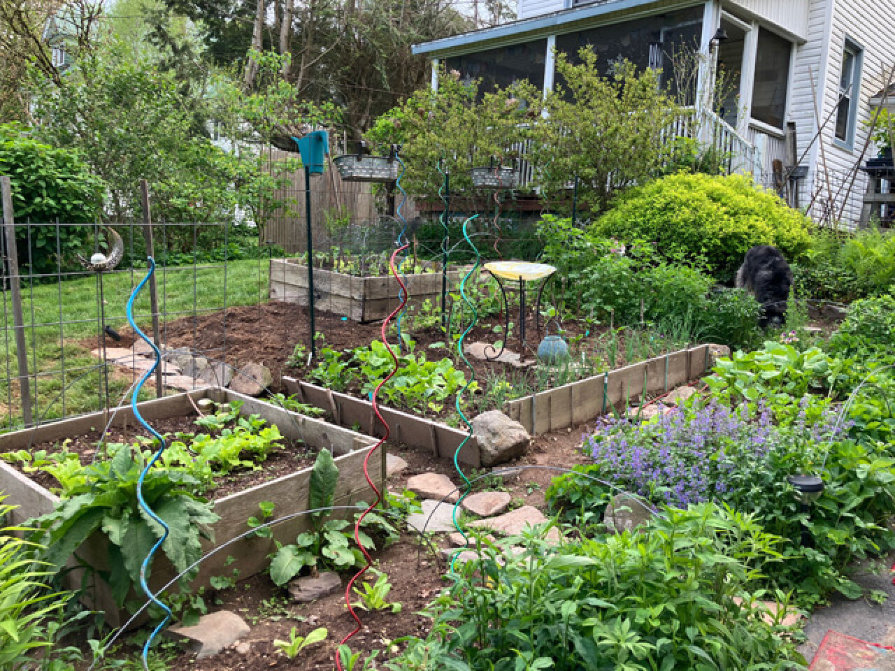 Local Educator Pushes For People To Grow Their Own Food