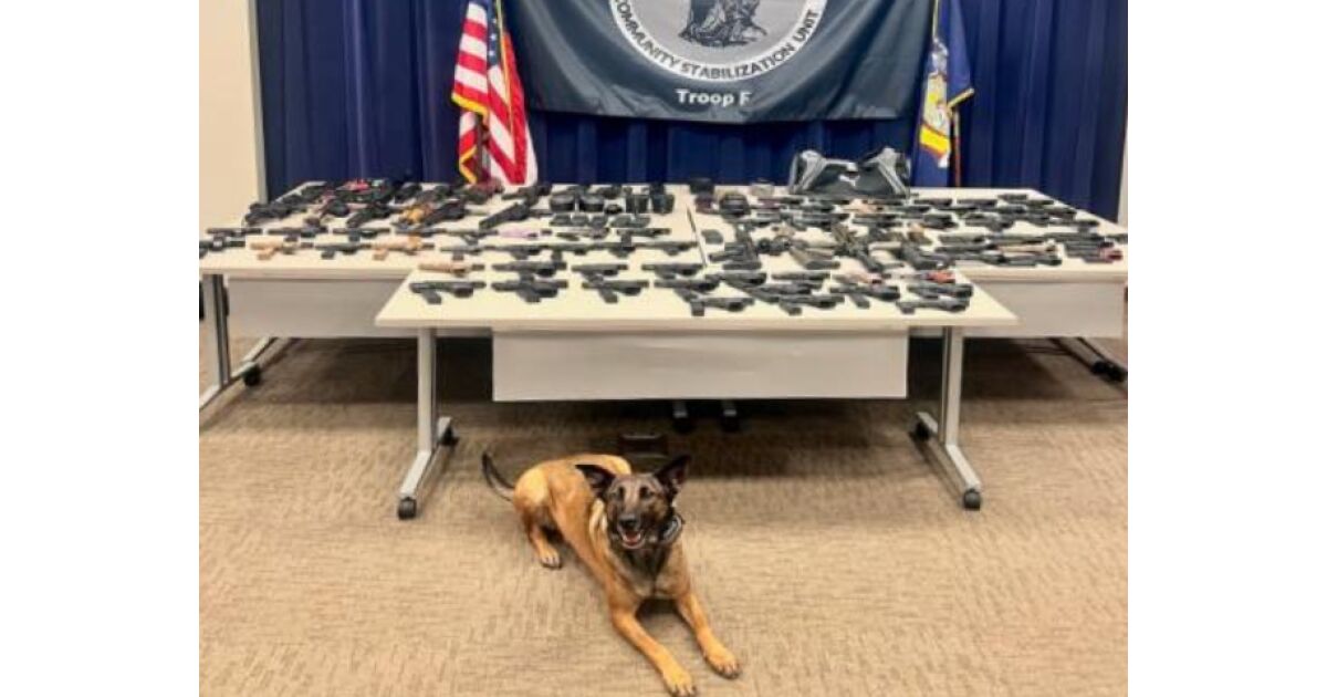 Gun Seizures and Drug Charges in Sullivan County Crackdown