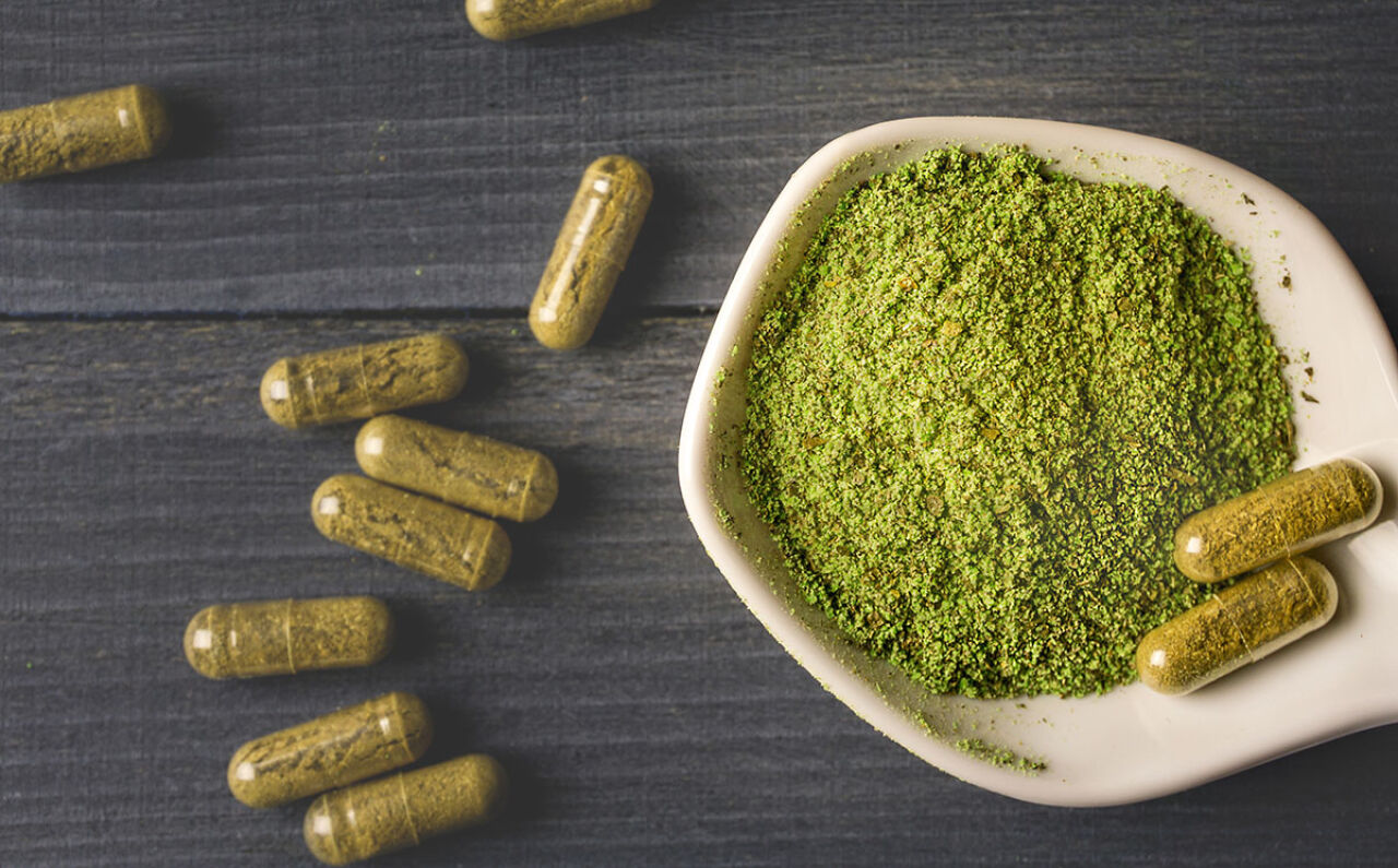 Legislature Committee Puts Off Proposed Kratom Crackdown
