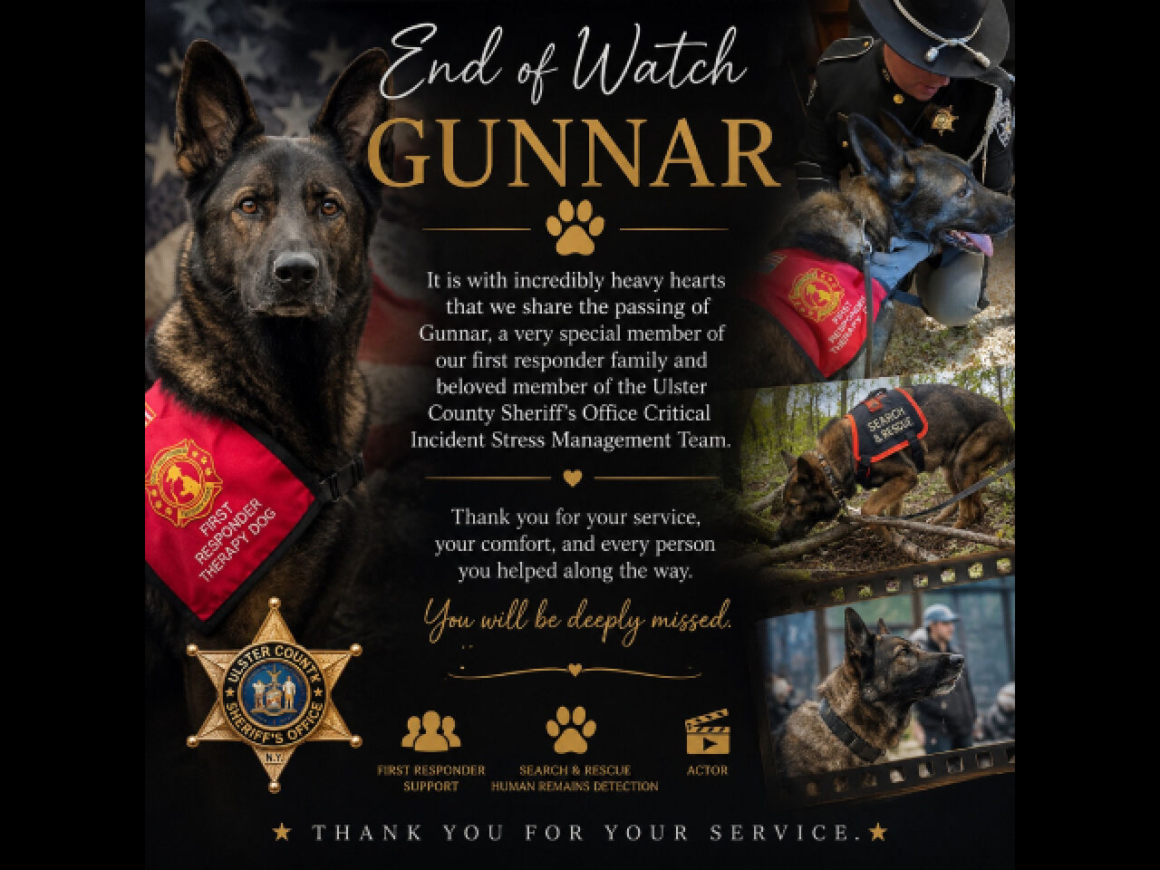 Sheriff’s Office Mourns Comfort Dog