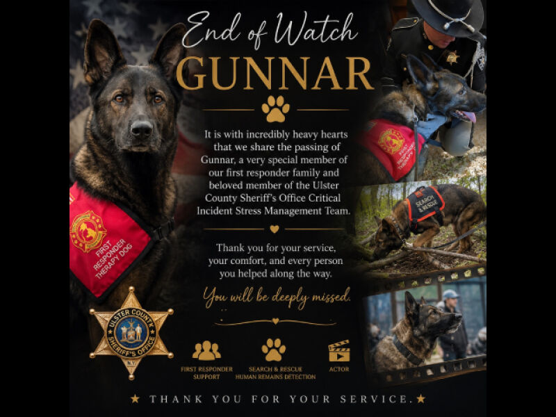 Memorial for Gunnar.
