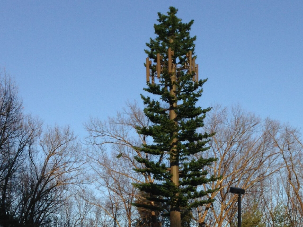 Rochester Cell Tower Approved