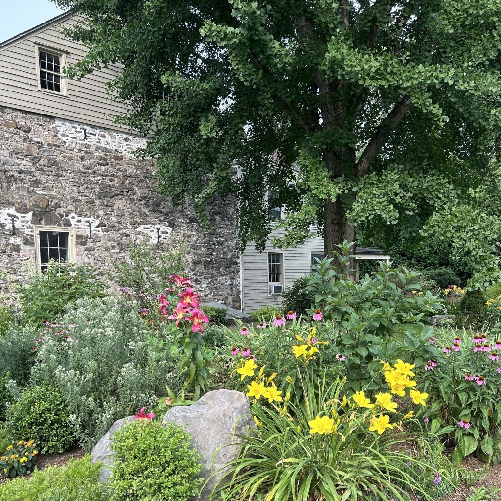 Stone Ridge Library Foundation Hosts Annual Online Auction