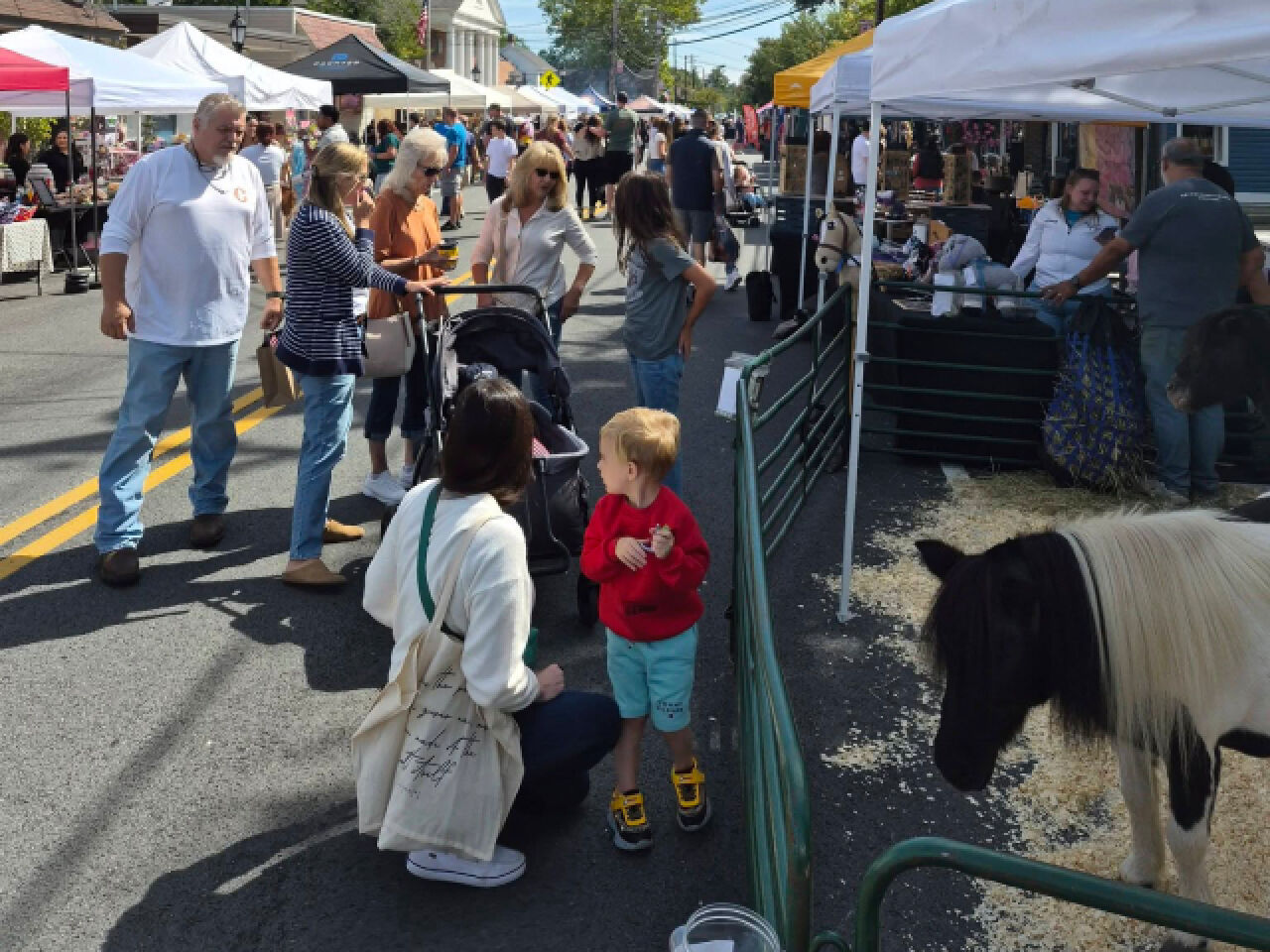 2026 Pine Bush Harvest Festival