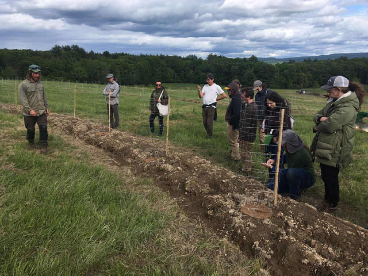 Planting 150 Trees At Sandburg Creek