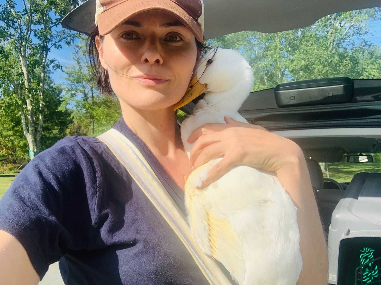 Farm Sanctuary Inundated With Abandoned Ducks