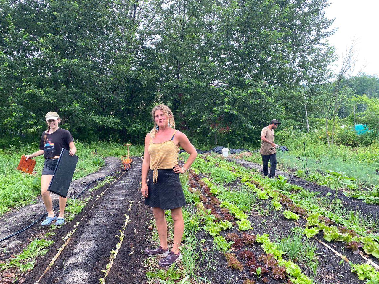 Clove Valley Farm Embraces Communal Cultivation