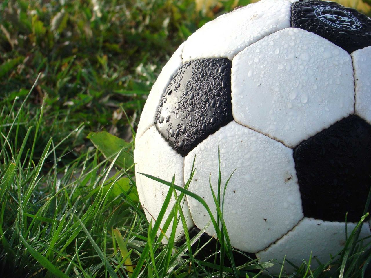 Ellenville Boys Soccer Wins Against Rhinebeck