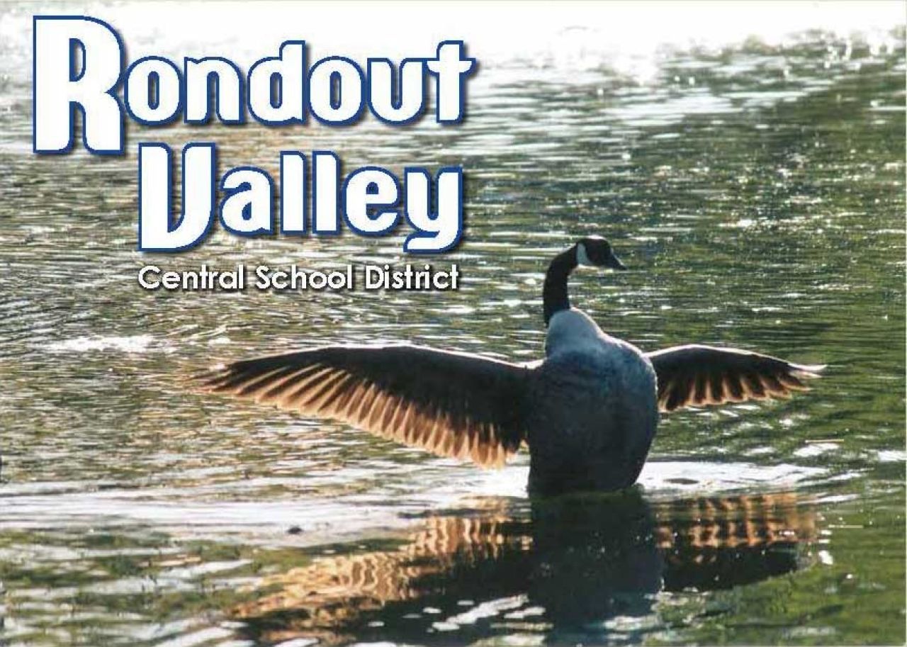 Rondout Valley Receives Seal Of Biliteracy &amp; Bronze Milestone Badges