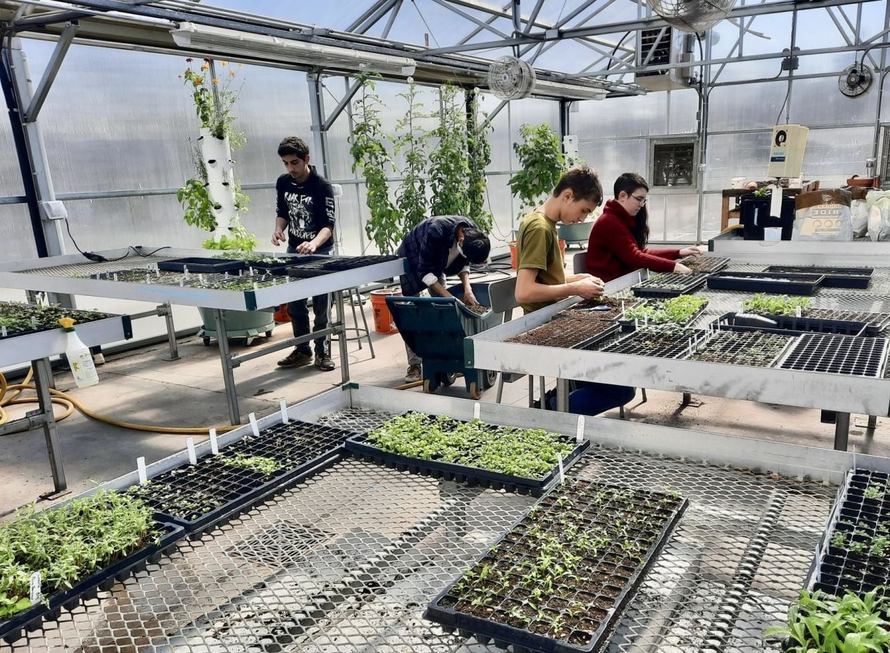 Get Your Seedlings, Flowers At Rondout Valley High School