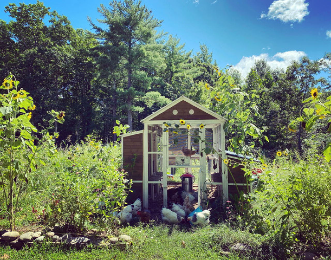 Shanna Nigro-Gonzalez: Cultivating Community Growth, One Plot At A Time