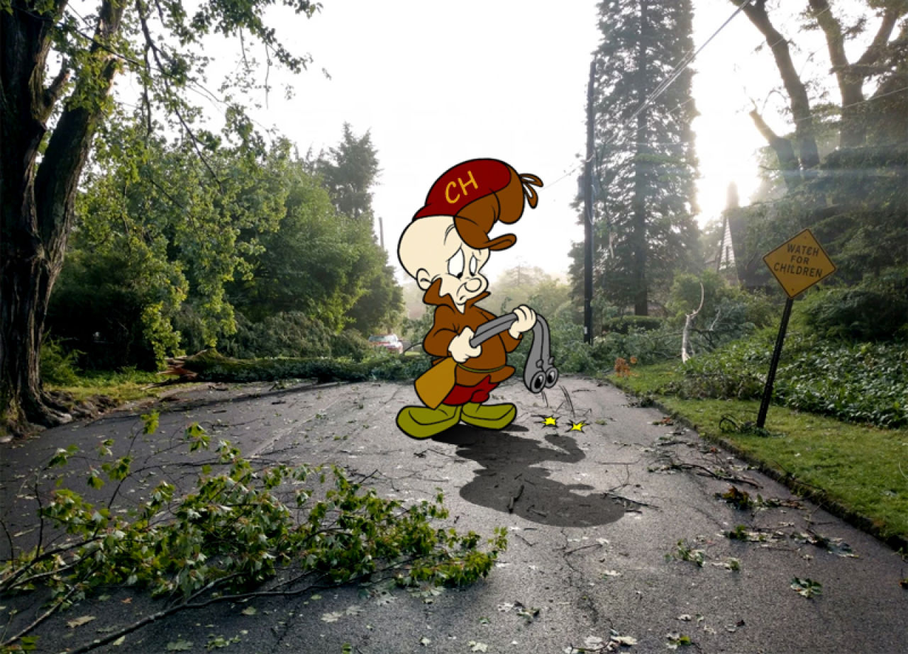 It's Storm Season and Elmer Fudson Is Shooting Blanks