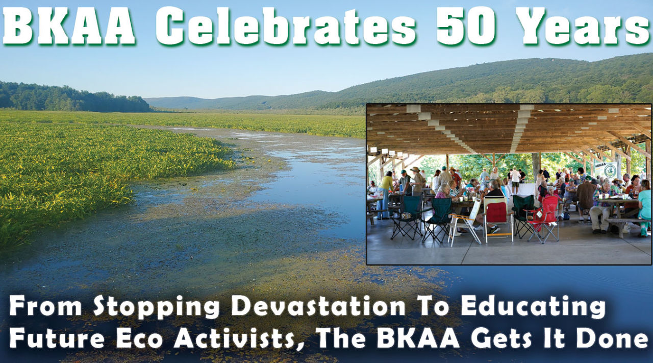 BKAA Celebrates 50 Years