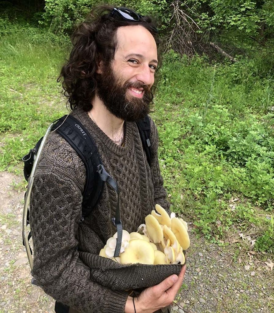 High Falls Mushroom Walk Planned