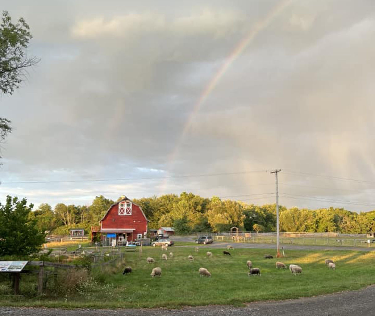 Woodstock Farm Sanctuary To Hold Harvest Picnic Gala
