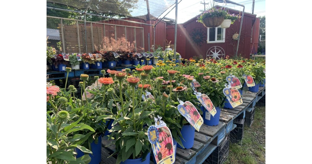 Stonehenge Farm Market to Delay Spring Opening