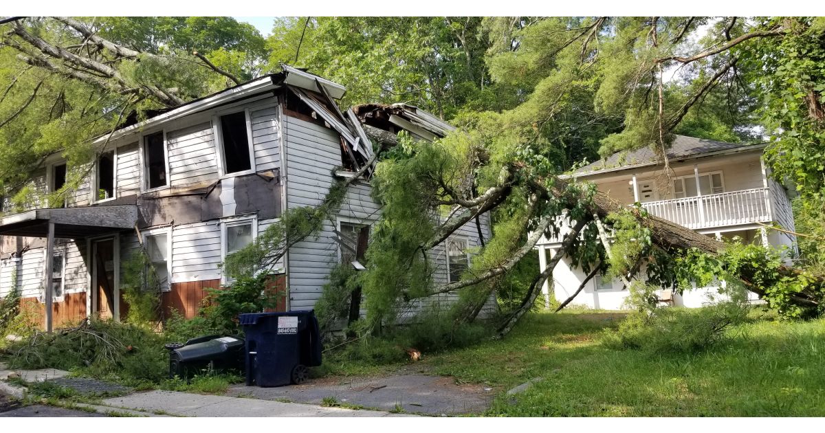 Tree Crashes Through Abandoned Center Street House