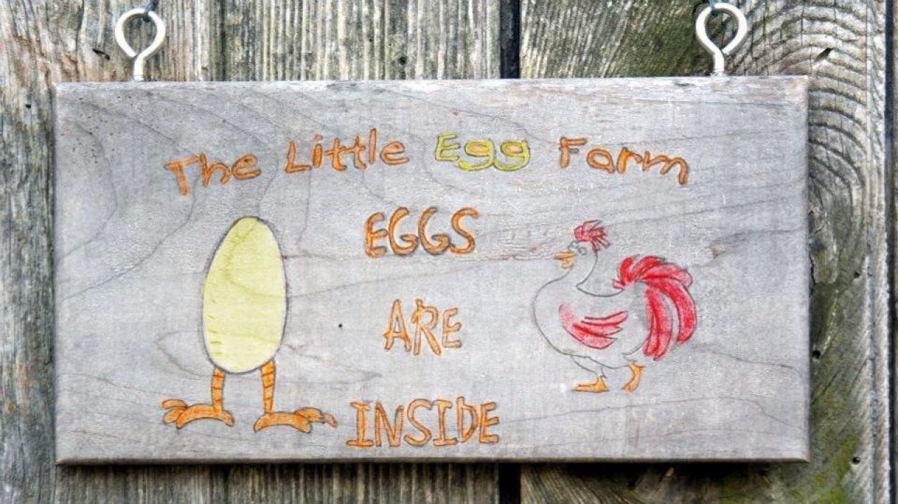 Egg Farm Fire Could Have Been Far Worse