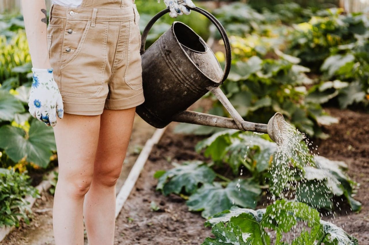 Gardening Workshop