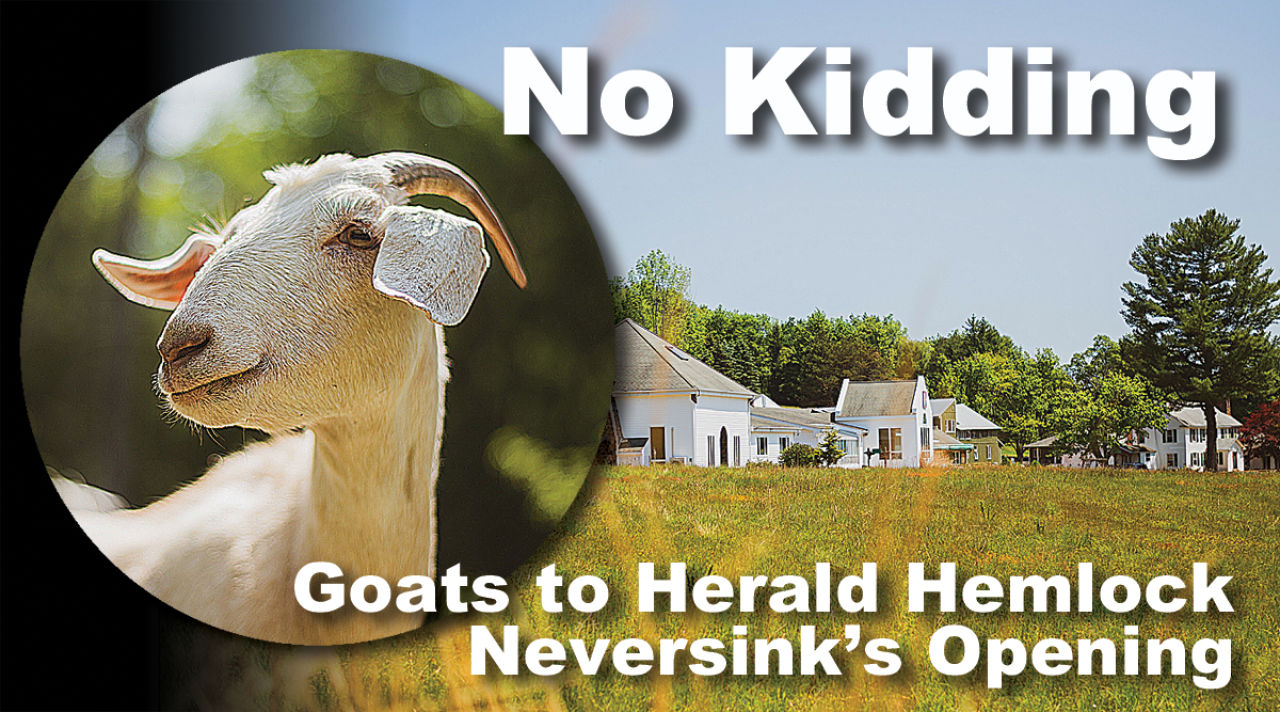 No Kidding - Goats to Herald Hemlock Neversink's Opening