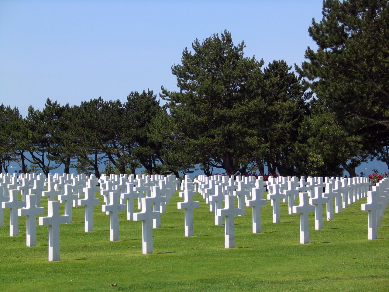 Before More Bodies Come Home