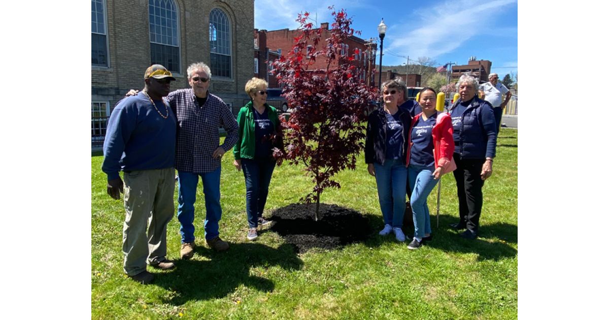 Shawangunk Garden Club Plants Trees For Arbor Day