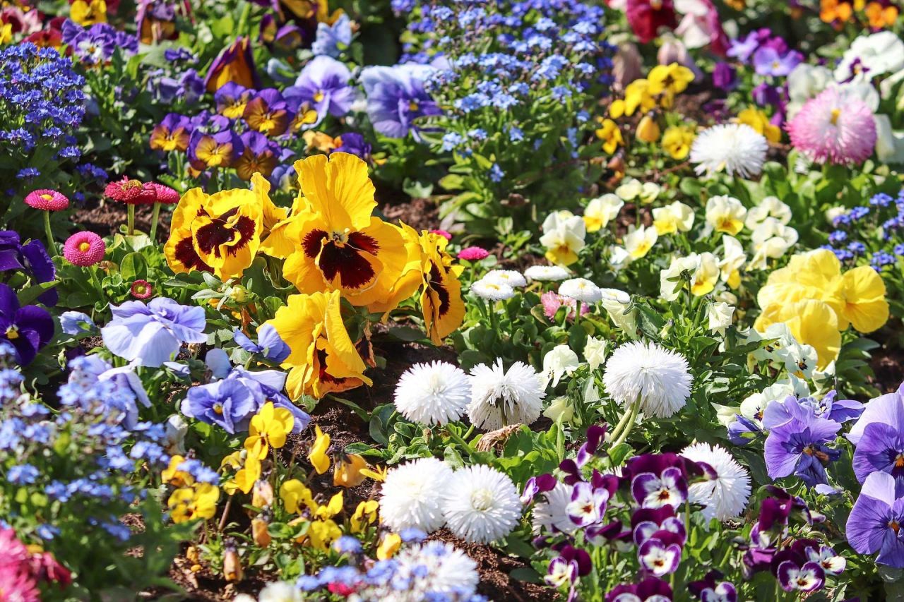 Shawangunk Garden Club Mother's Day Plant Sale