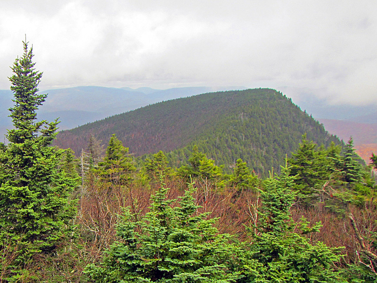 Hiker Rescued After Struggling on Wittenberg Mountain