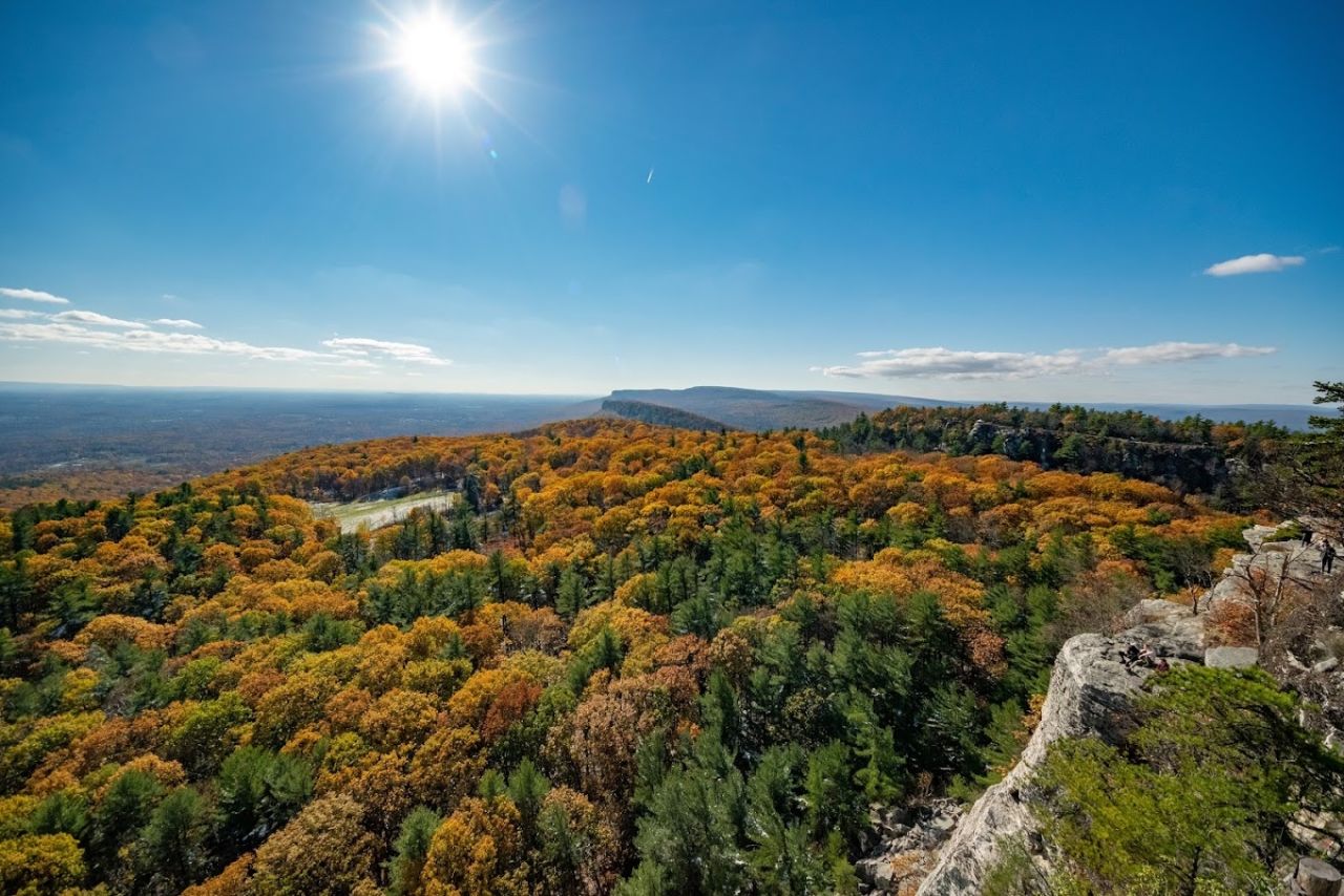 Plein Air Art Walk &amp; Auction at Mohonk Preserve
