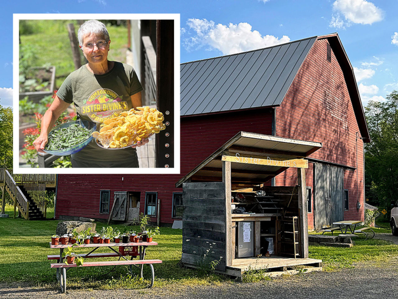 Olivebridge Farm Continues Its Charitable Mission