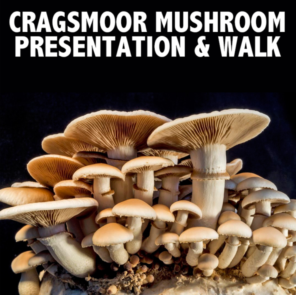 Cragsmoor Mushroom Presentation &amp; Walk