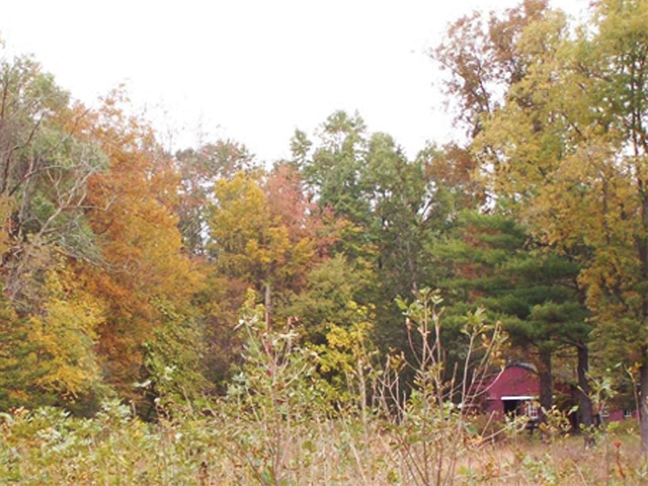 Crawford Board to Explore Warehouse Plan