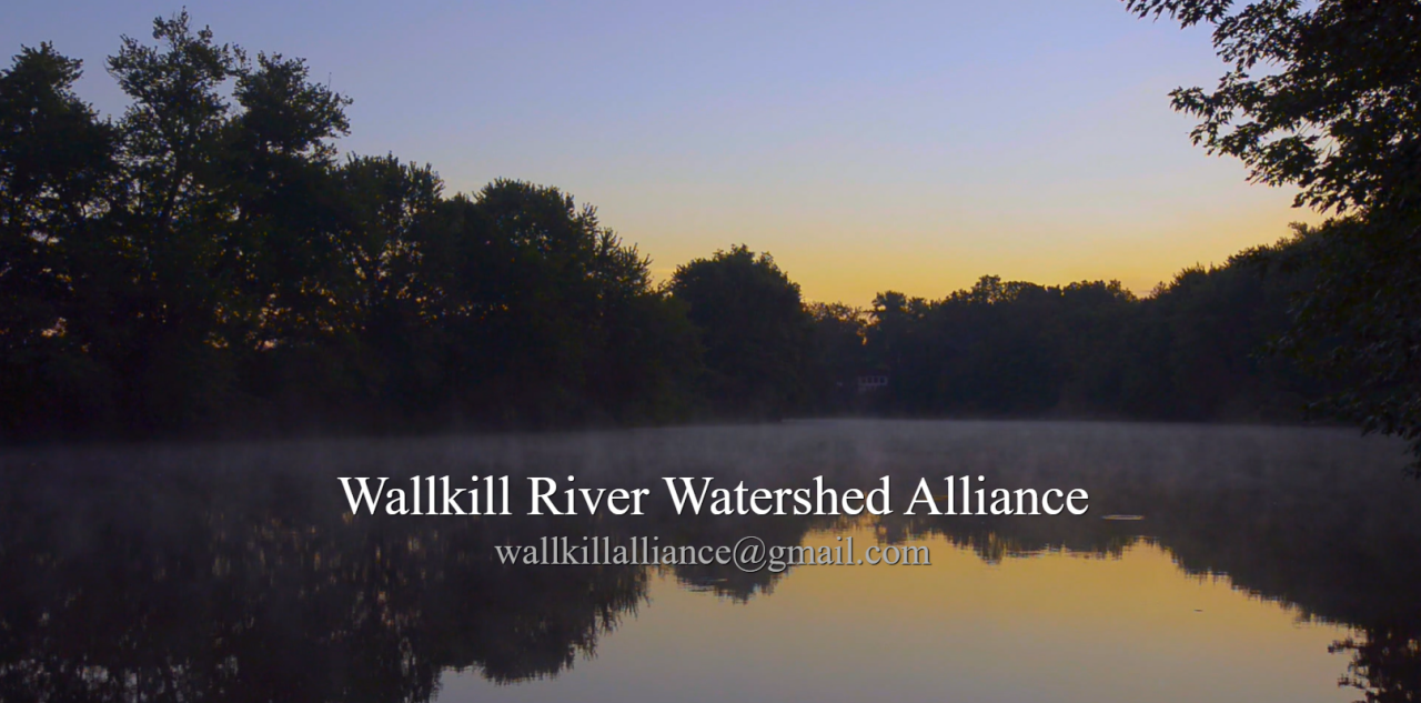 Wallkill River Riparian Restoration Project