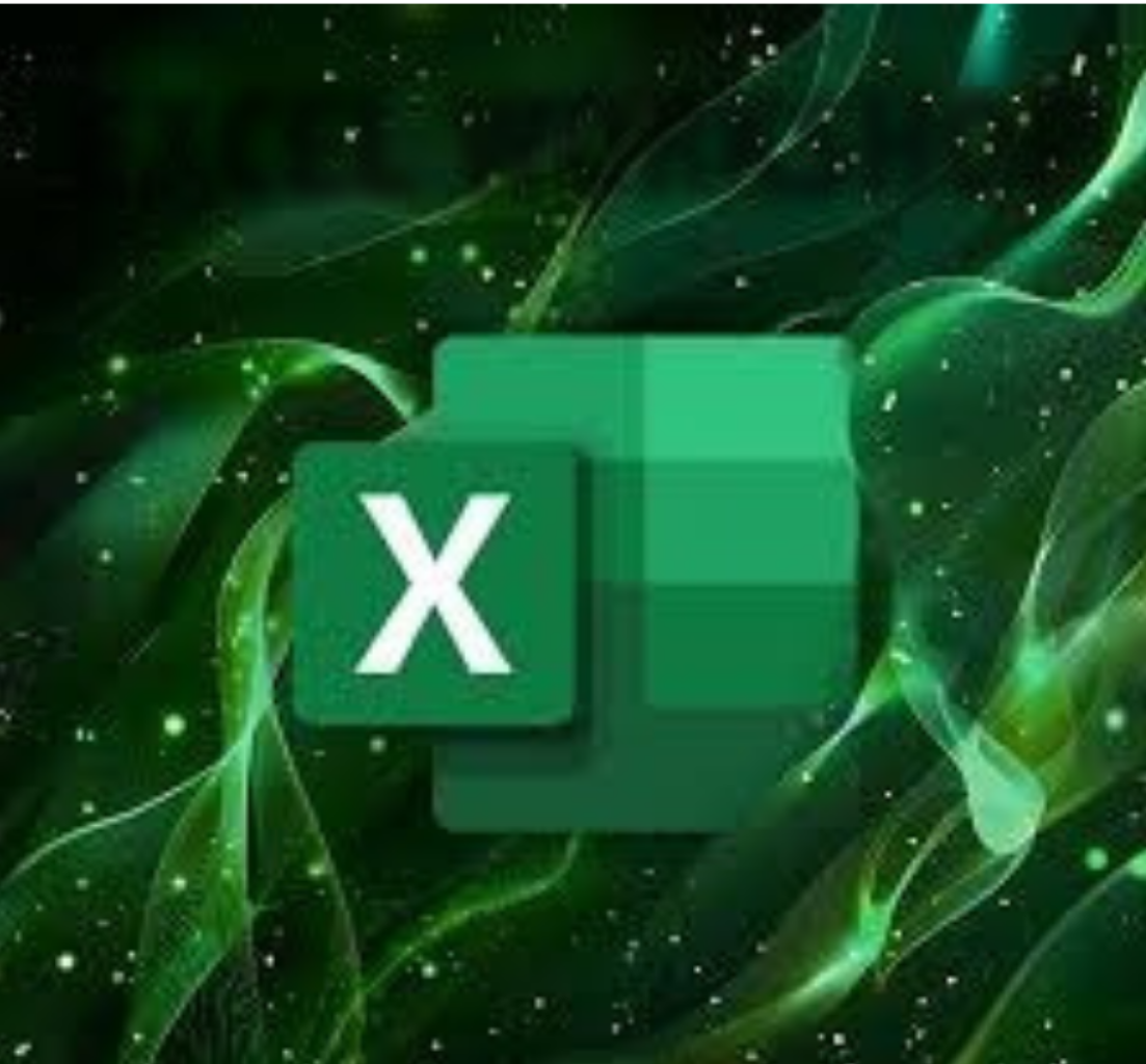Basic Excel Workshop