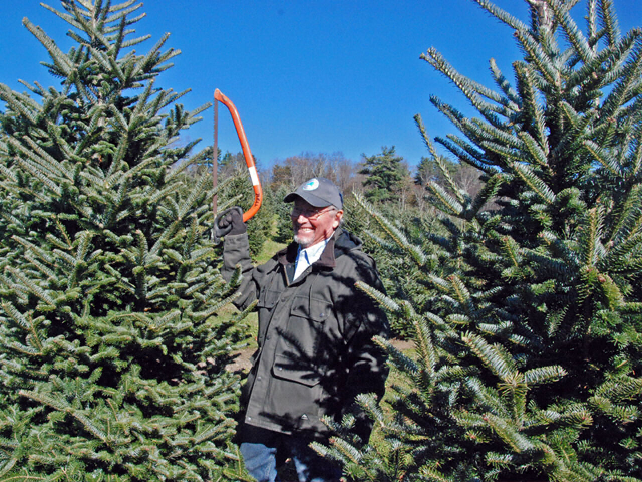 Local Christmas Tree at New York State Welcome Center